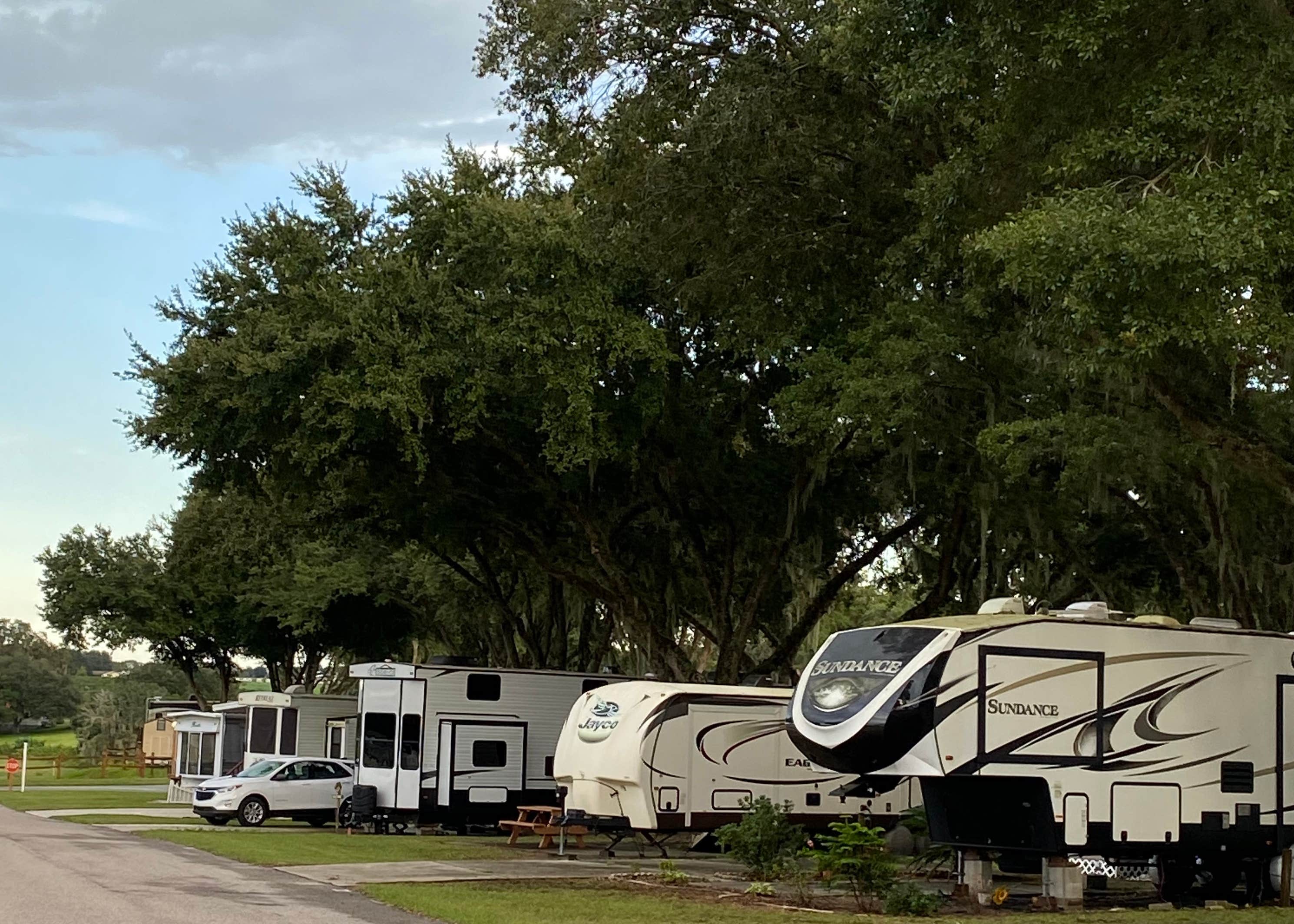 Cherry Blossom RV Resort Camping The Dyrt