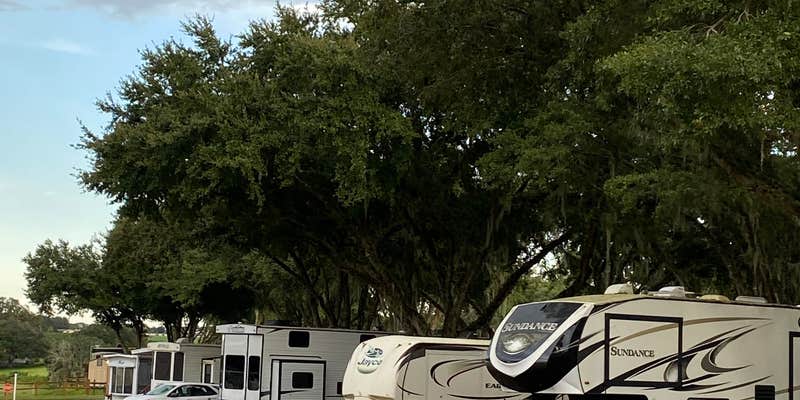Camper submitted image from Cherry Blossom RV Resort