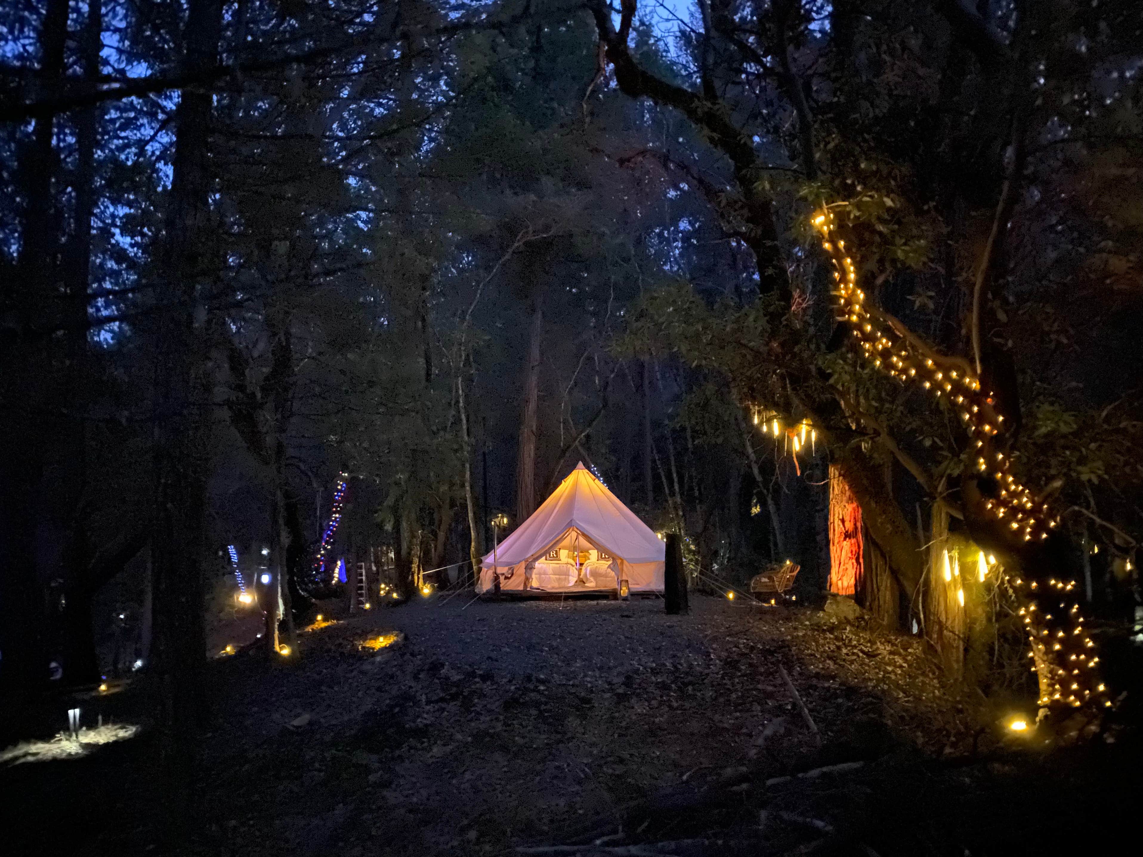 Radio R.'s photo at Radio Ranch near Forks of Salmon, CA