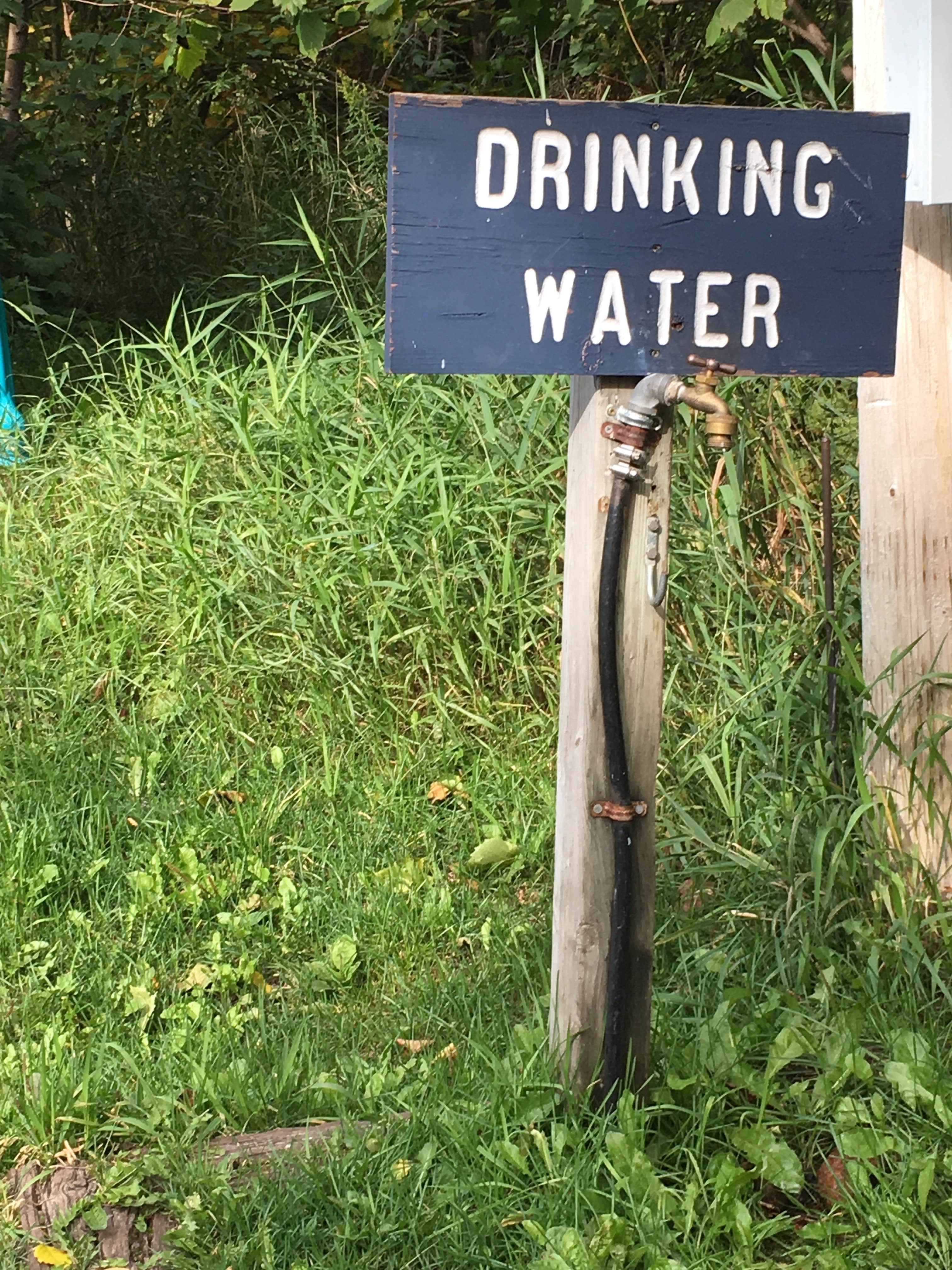 Camper submitted image from Grand Marais Campground & Marina - 5