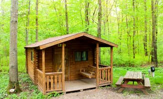 Stacy W.'s photo of a cabin at Mystic KOA near Southampton, NY