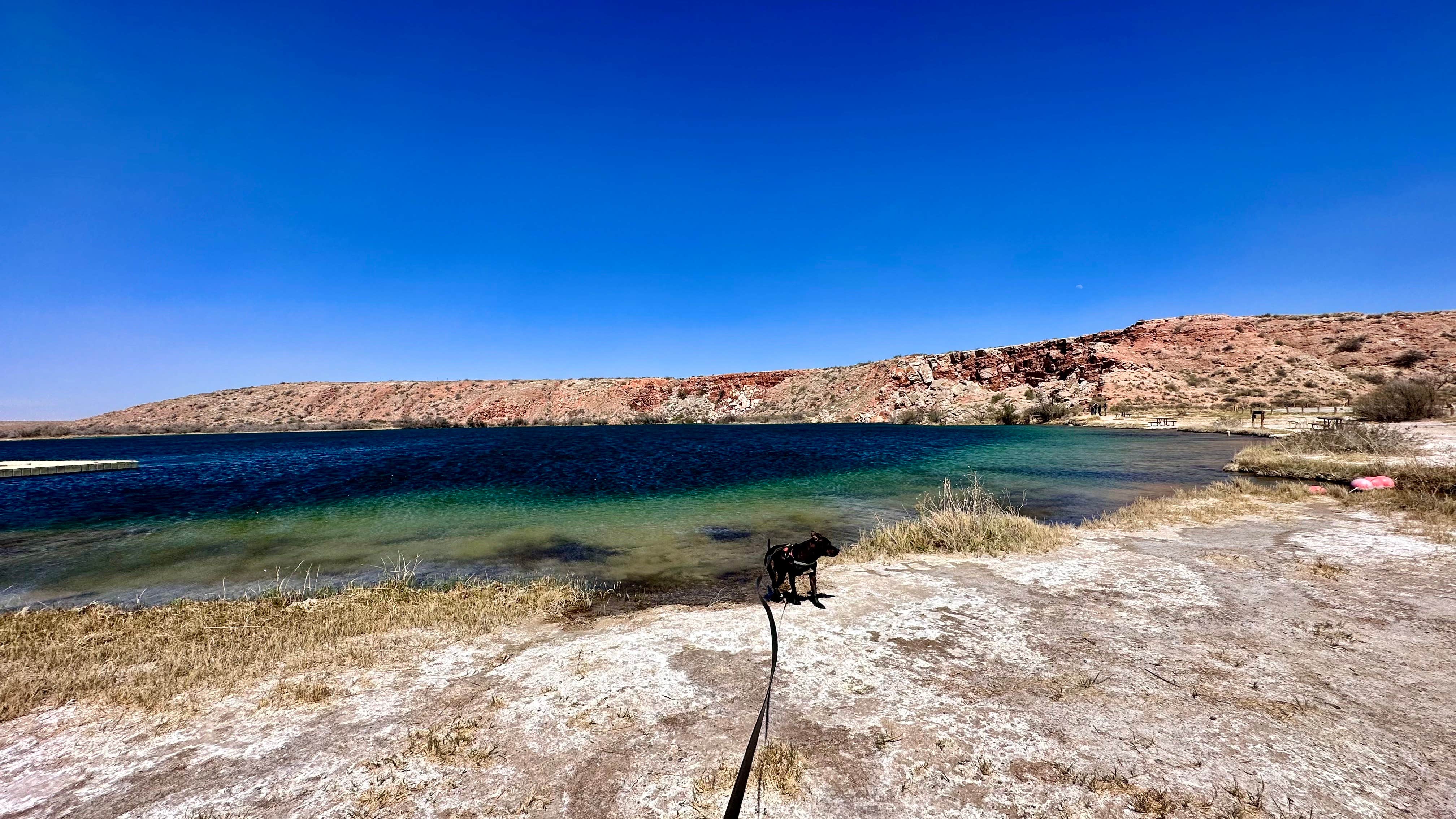 Ray & Terri F.'s photo of camping with pets at Lea Lake Campground — Bottomless Lakes State Park in New Mexico