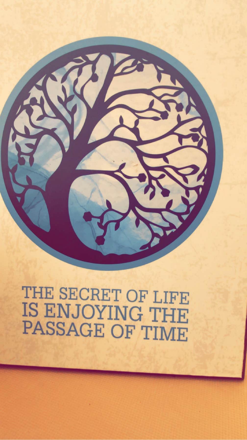 Camper-submitted photo at Glamping @ Solar City near Animas, NM