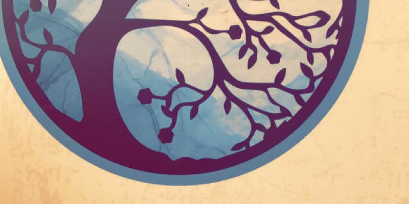 Camper submitted image from Glamping @ Solar City