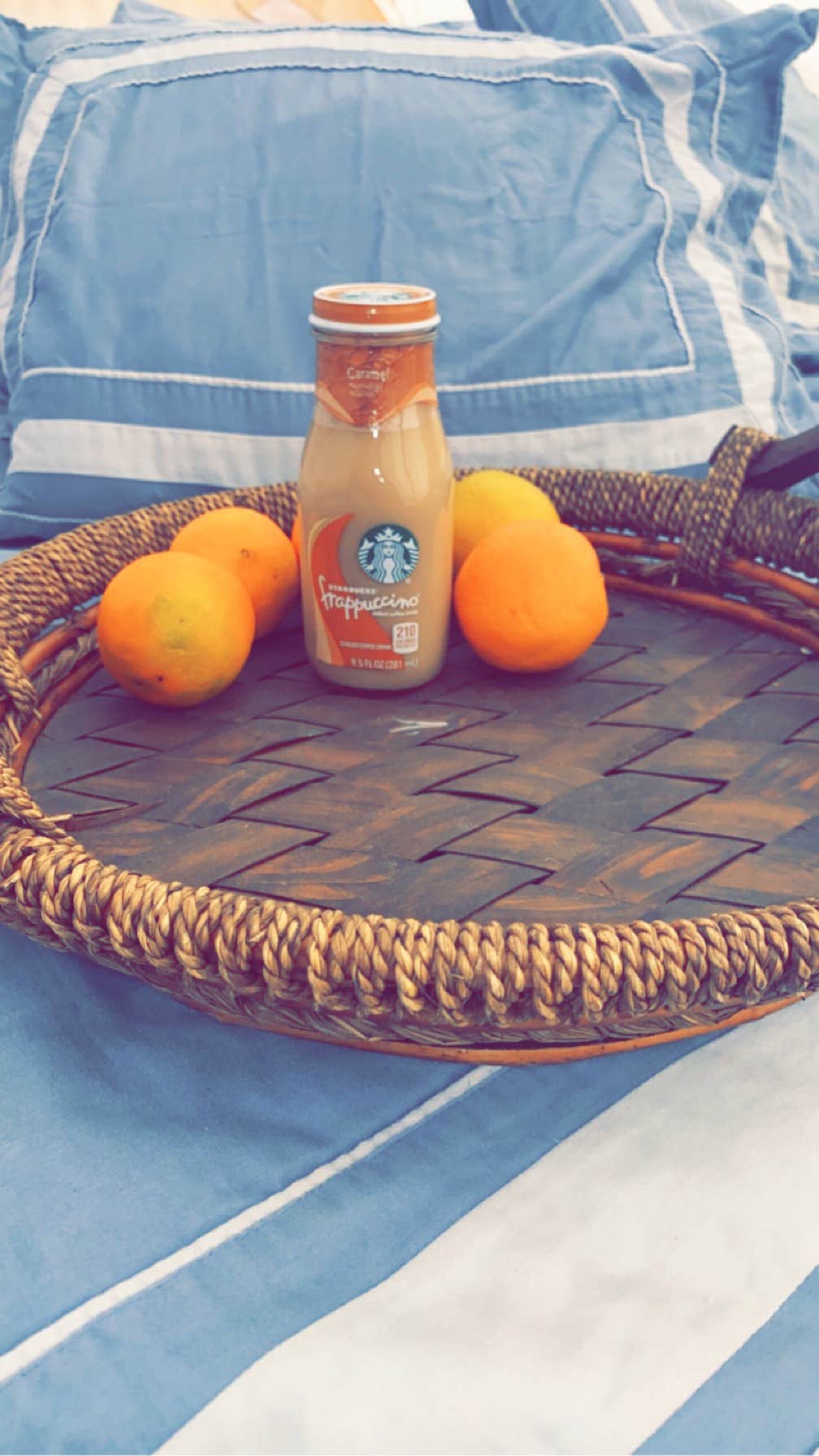 Camper-submitted photo at Glamping @ Solar City near Animas, NM