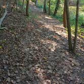 Review photo of Alum Creek State Park Campground by Vicki H., October 1, 2018