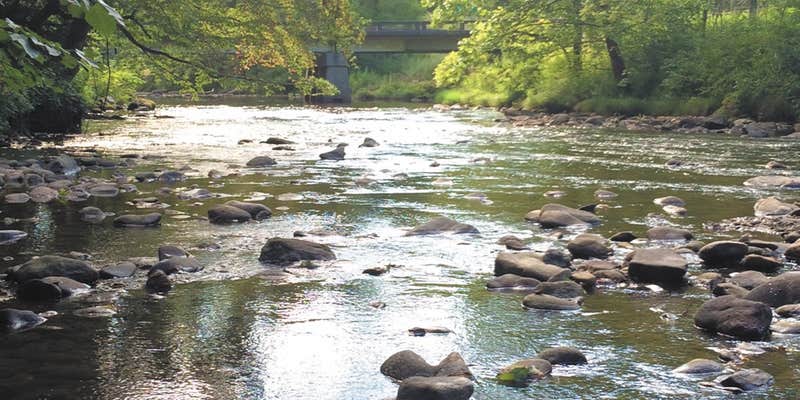 Camper submitted image from Peaceful Cove Campground