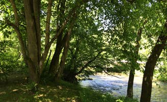 Mary F.'s photo of camping with pets at Peaceful Cove Campground near Cashiers, NC