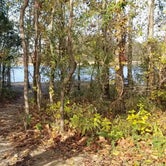 Review photo of Nolin Lake State Park by Ella L., March 24, 2023