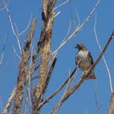 Review photo of Lake Hasty Campground — John Martin Reservoir State Park by tracey C., October 1, 2018