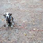 Review photo of Horine Reservation Camping at Jefferson County Memorial Forest by Ella L., March 23, 2023