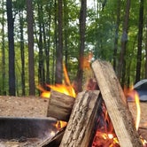 Review photo of Horine Reservation Camping at Jefferson County Memorial Forest  by Ella L., March 23, 2023