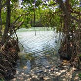 Review photo of Long Point Park Campground by Teresa S., March 31, 2023