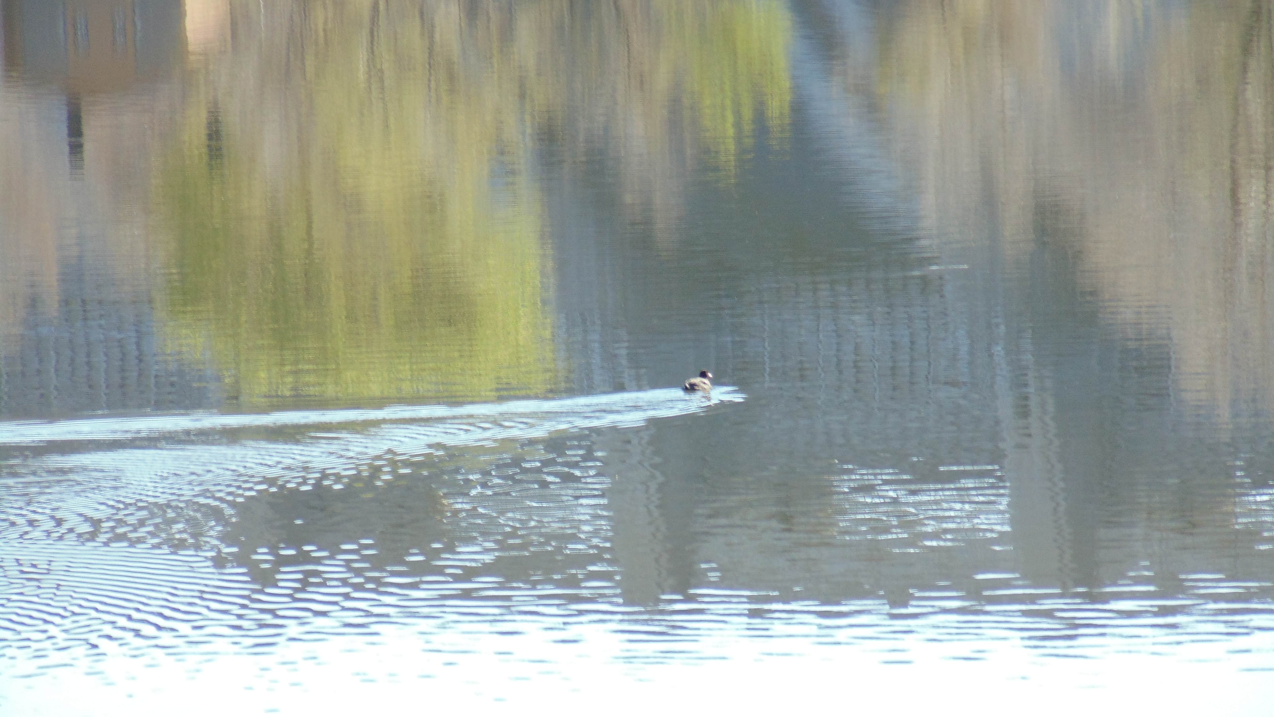Lake Hasty John Martin Reservoir State Park The Dyrt