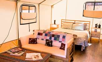 Branch Out Glamping's photo of glamping accommodations at Silver Spur near Sonoita, AZ
