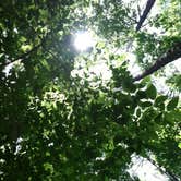 Review photo of William B. Umstead State Park Campground by Bran P., August 15, 2016