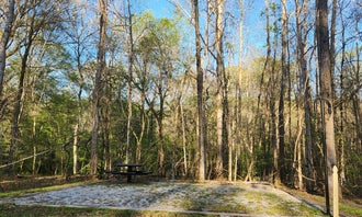 Camping near Banning Mills Treehouses: Bush Head Shoals Park , Franklin, Georgia