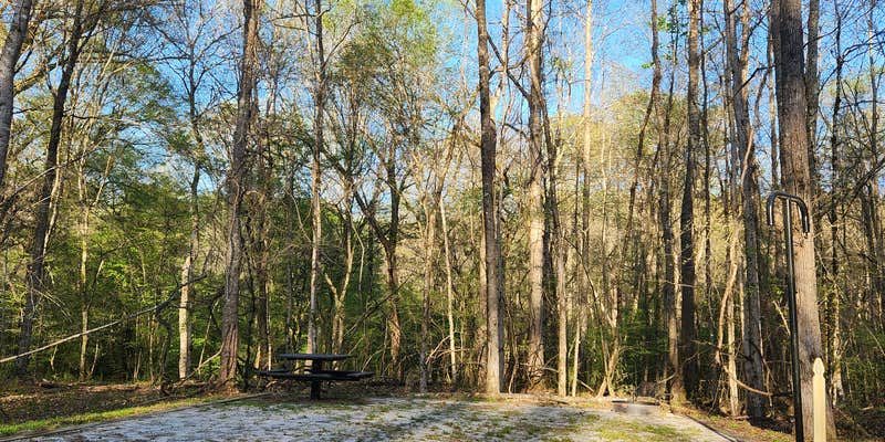 Camper submitted image from Bush Head Shoals Park
