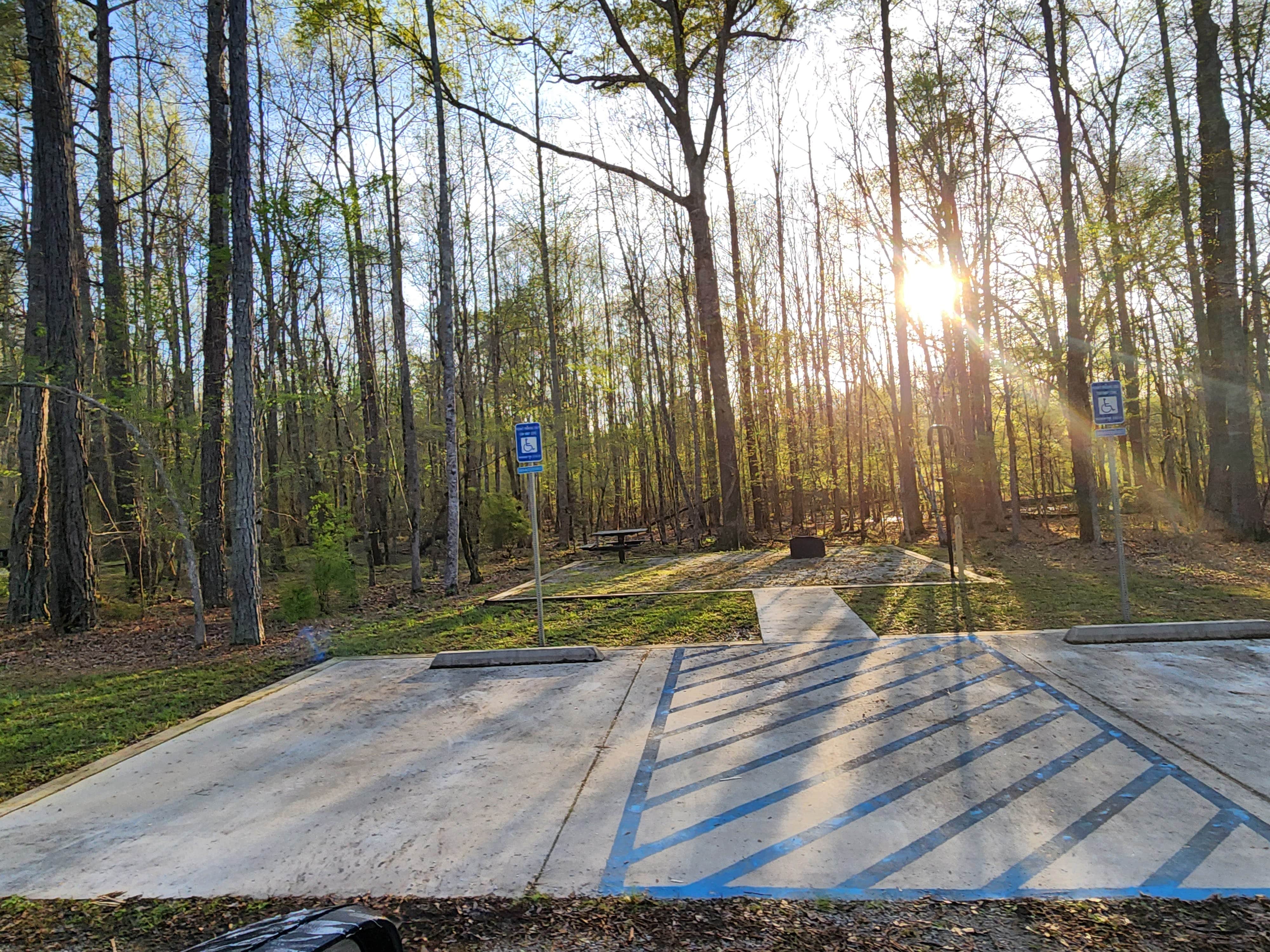 Camper submitted image from Bush Head Shoals Park - 3