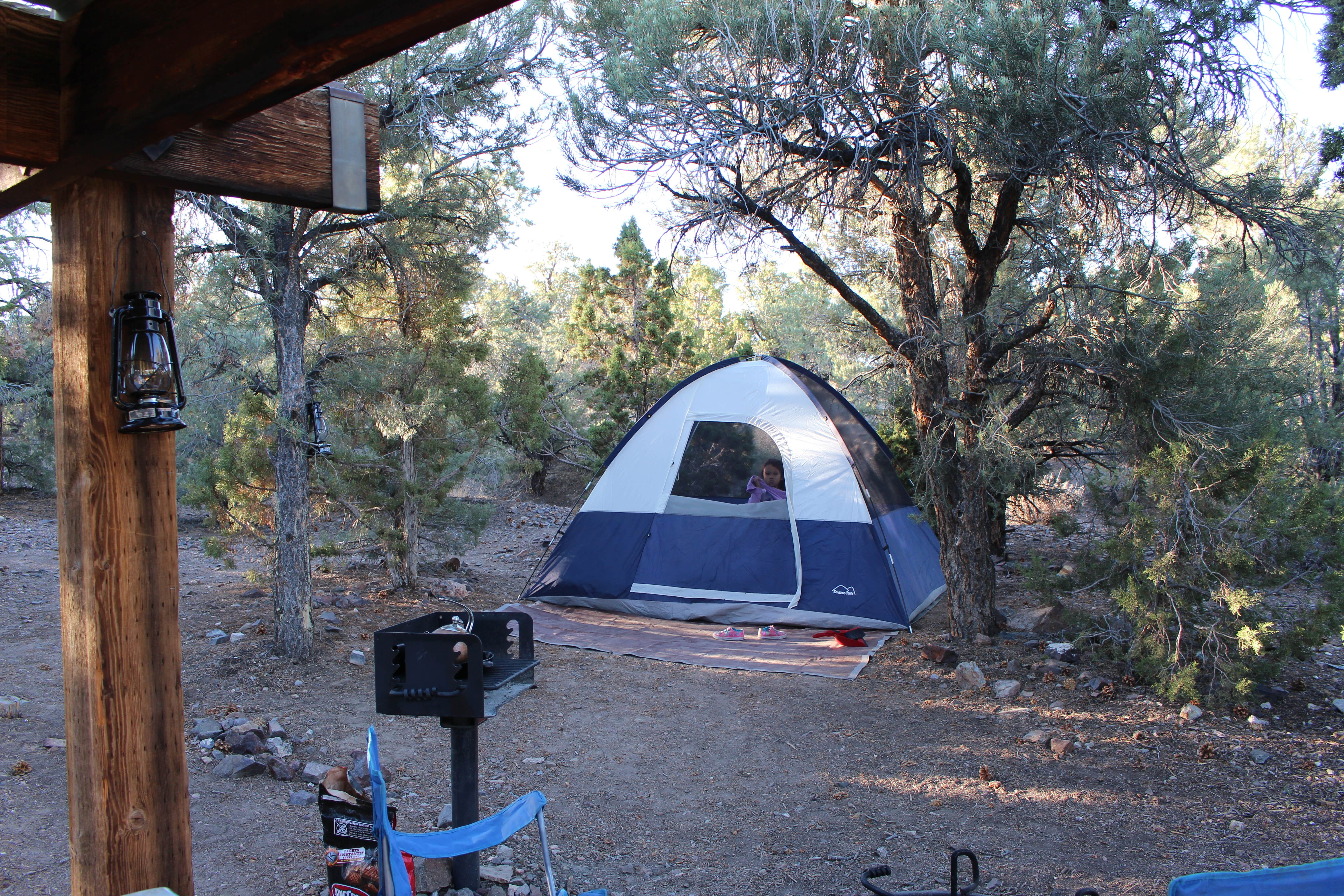 Camper-submitted photo at Berlin-Ichthyosaur State Park near Round Mountain, NV