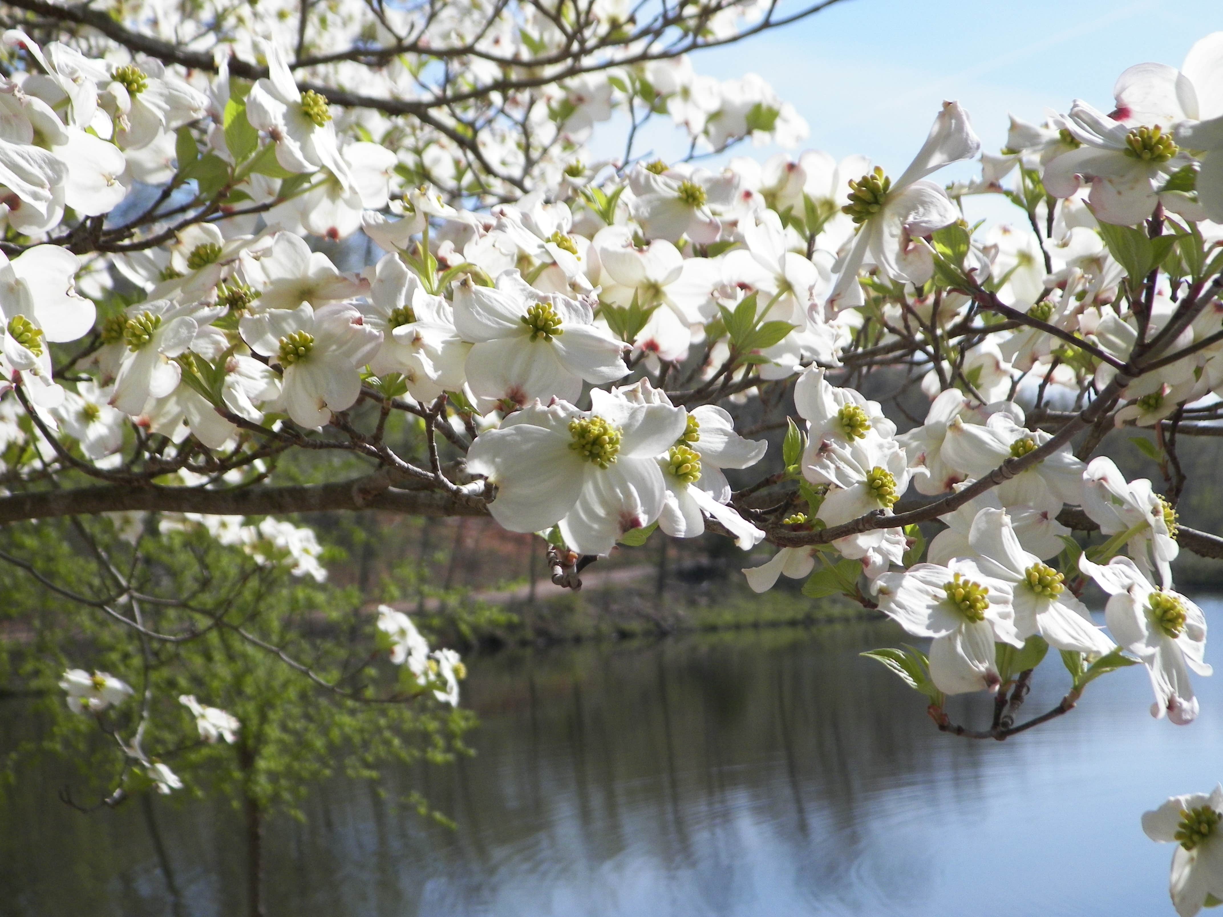 Camper-submitted photo at Cross Creek RV Park near Brumley, MO