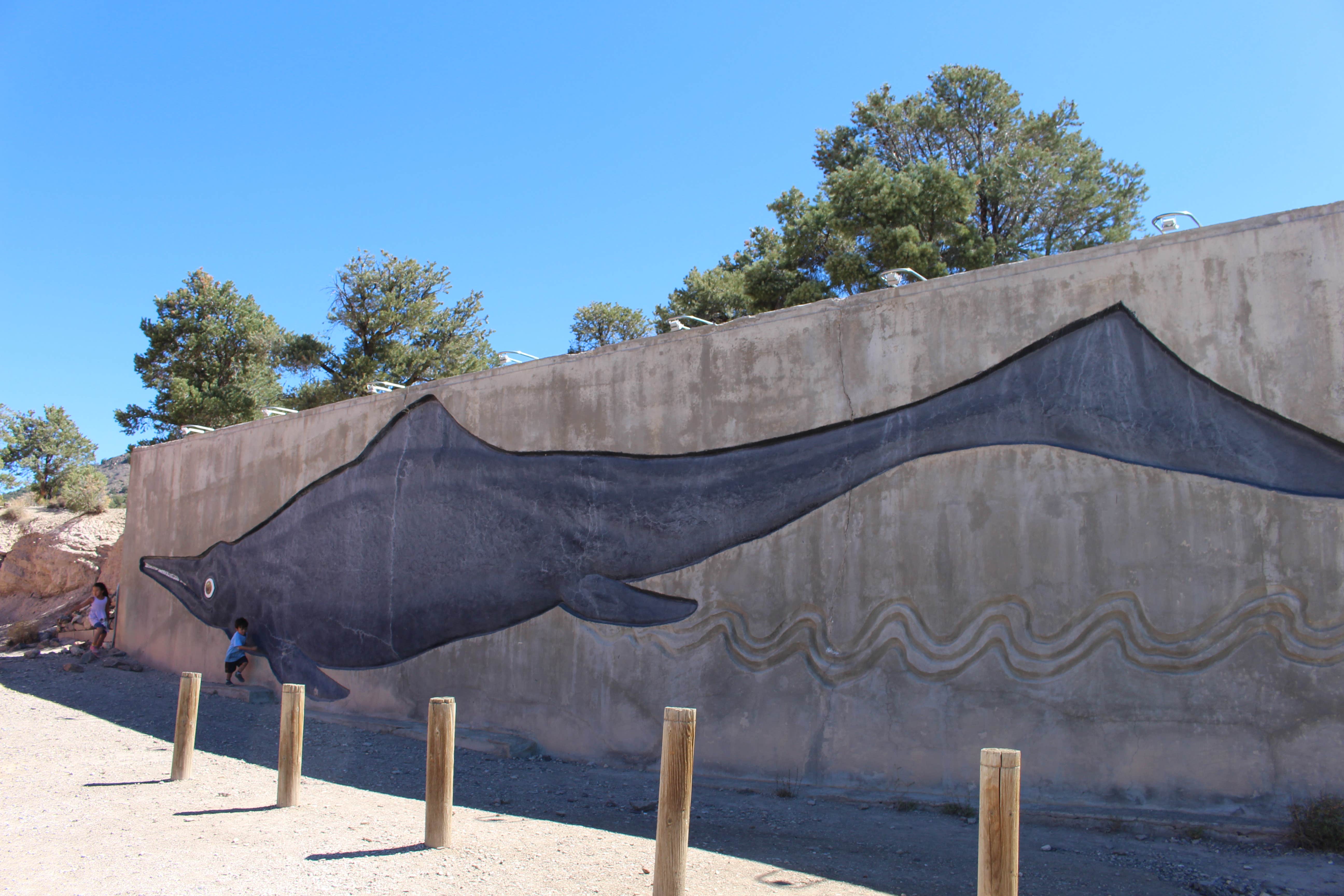 Camper-submitted photo at Berlin-Ichthyosaur State Park near Round Mountain, NV