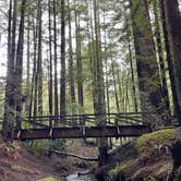 Review photo of Burlington Campground — Humboldt Redwoods State Park by Alivia M., April 1, 2023