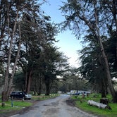 Review photo of Bodega Dunes Campground — Sonoma Coast State Park by Neil T., April 1, 2023