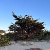 Review photo of Bodega Dunes Campground — Sonoma Coast State Park by Neil T., April 1, 2023