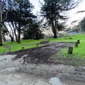 Review photo of Bodega Dunes Campground — Sonoma Coast State Park by Neil T., April 1, 2023