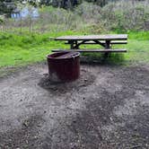 Review photo of Bodega Dunes Campground — Sonoma Coast State Park by Neil T., April 1, 2023