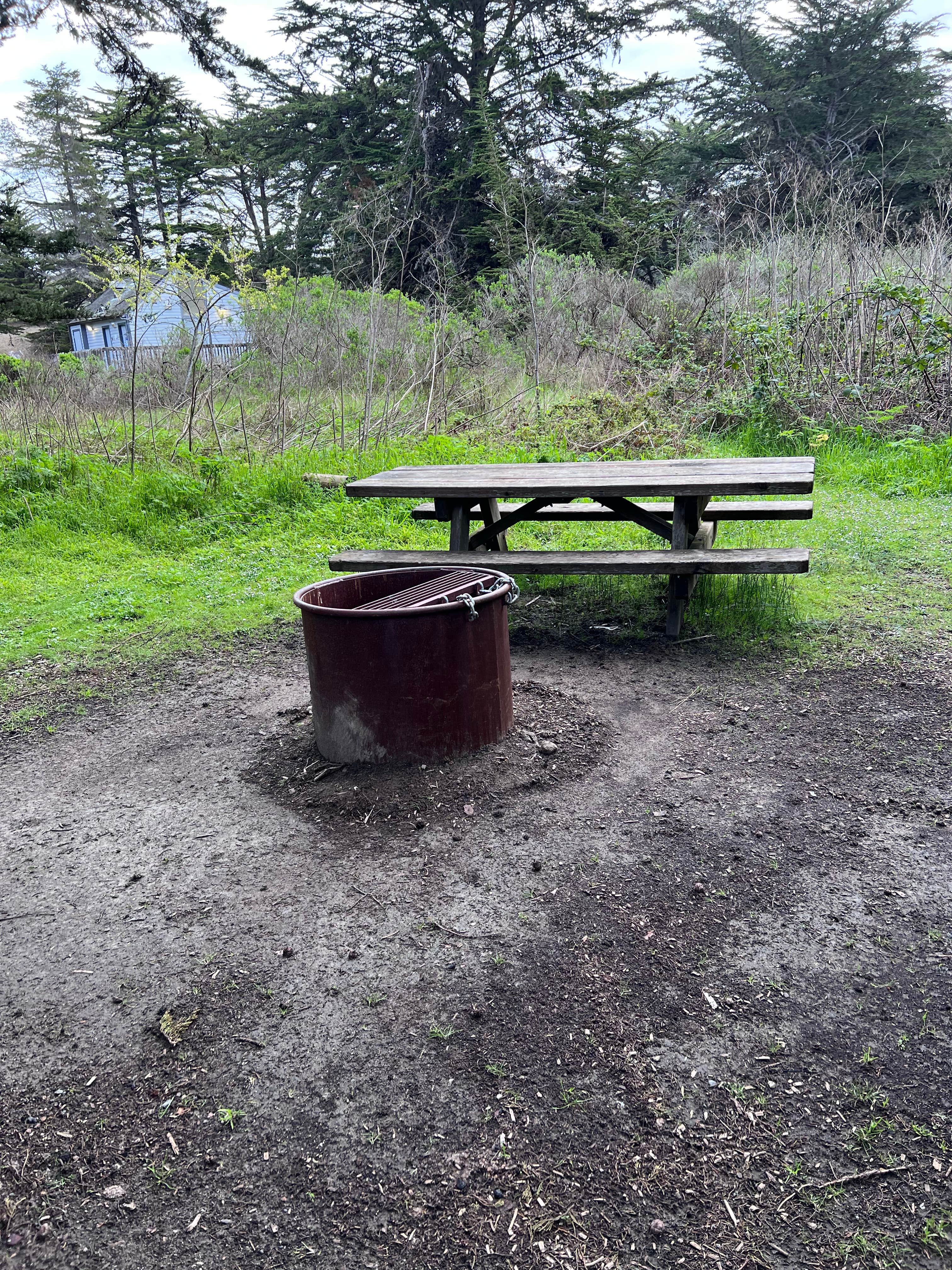 Camper submitted image from Bodega Dunes Campground — Sonoma Coast State Park - 4