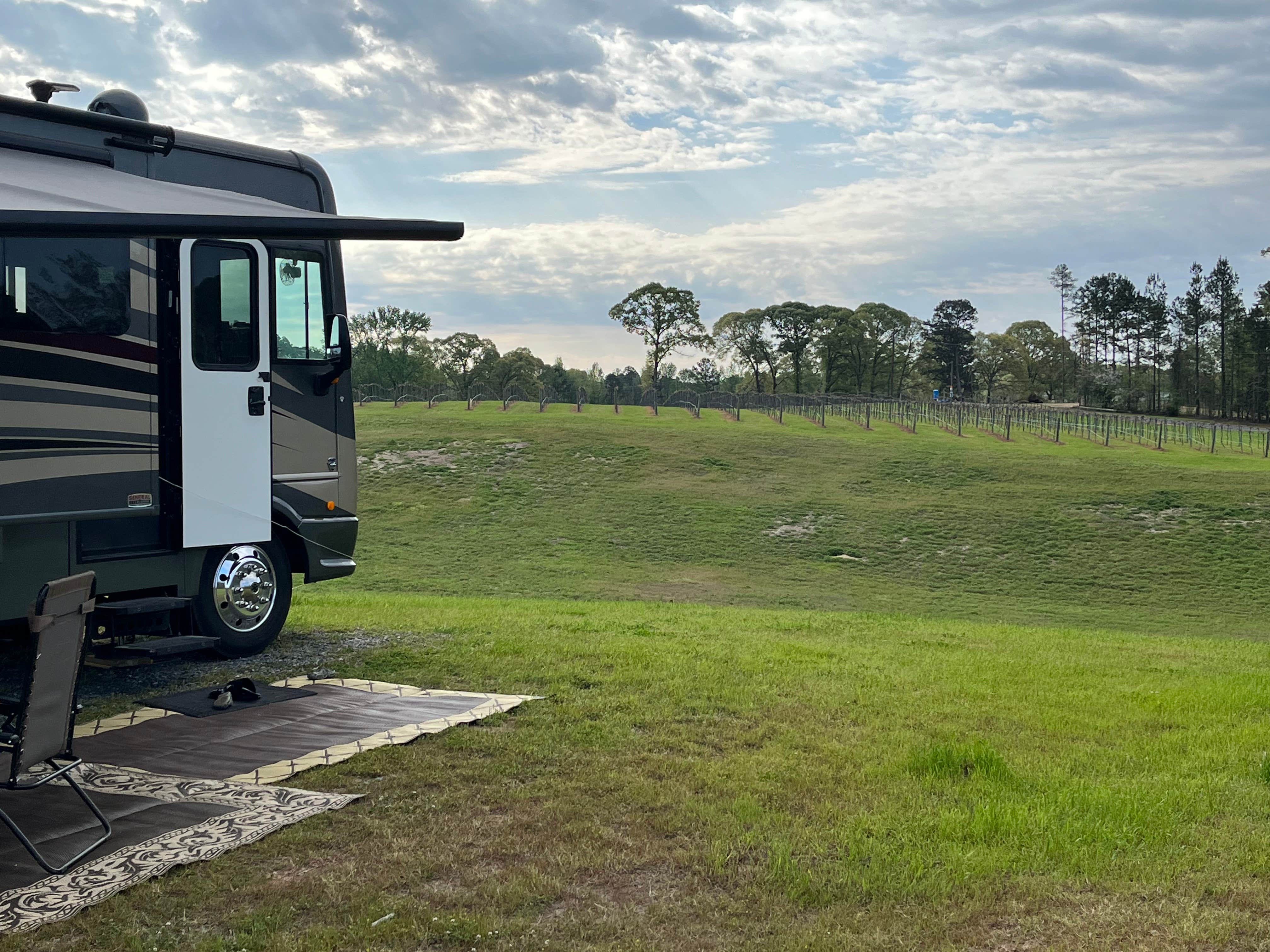 Camper submitted image from Landry Vineyards Grape Escape RV Sites - 1