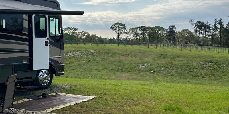 Camper submitted image from Landry Vineyards Grape Escape RV Sites