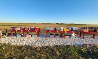 Camping near Wilson H Fox: Tiny Tots Honey Bee Farm, Taylor, Texas