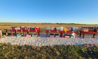 Tiny Tots Honey Bee Farm