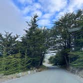 Review photo of Bodega Dunes Campground — Sonoma Coast State Park by Neil T., April 1, 2023