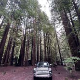 Review photo of Hidden Springs Campground — Humboldt Redwoods State Park by Neil T., April 1, 2023