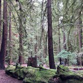 Review photo of Hidden Springs Campground — Humboldt Redwoods State Park by Neil T., April 1, 2023