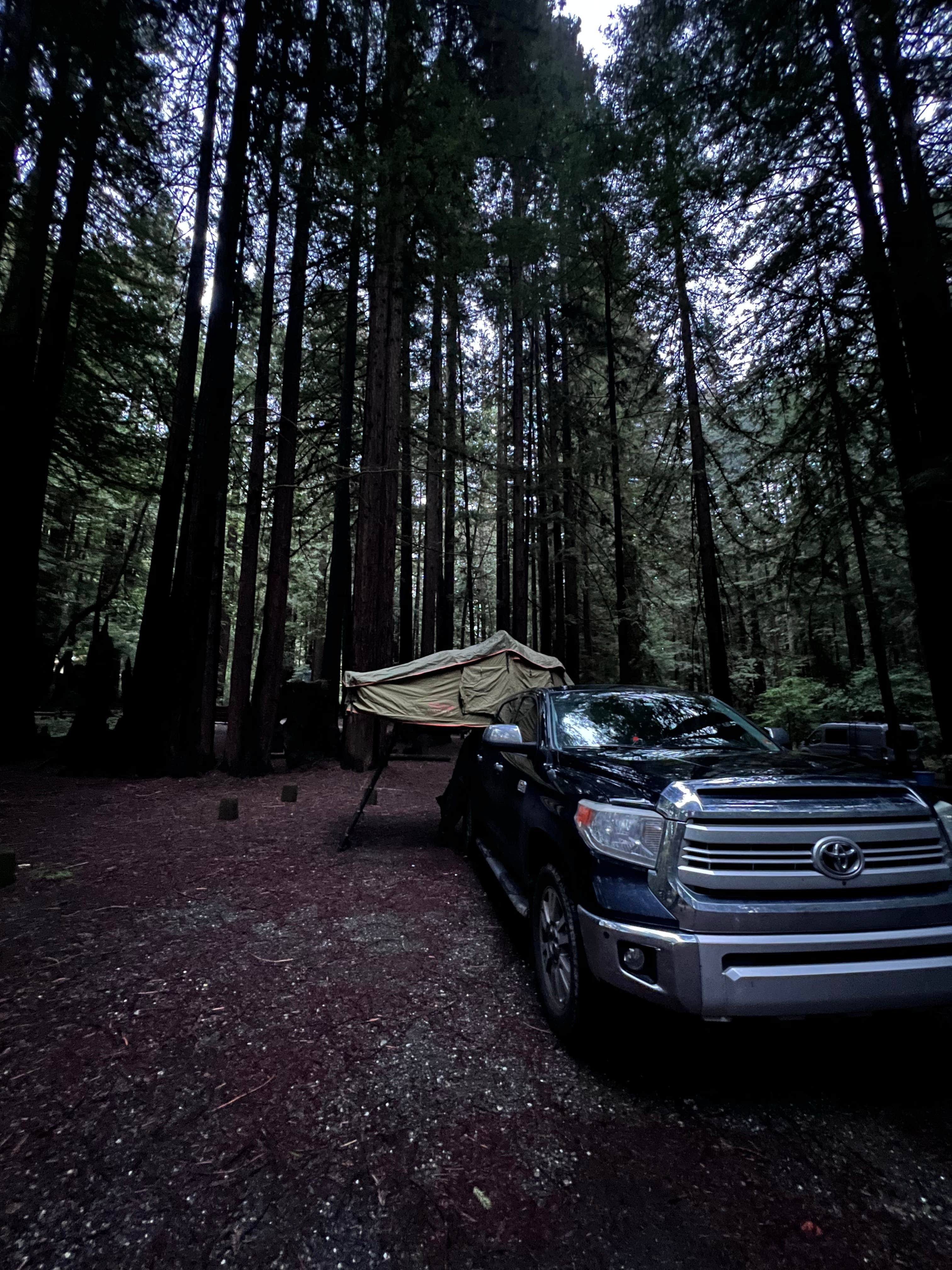 Neil T.'s photo at Hidden Springs Campground — Humboldt Redwoods State Park near Redcrest, CA