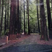 Review photo of Hidden Springs Campground — Humboldt Redwoods State Park by Neil T., April 1, 2023