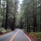 Review photo of Burlington - Humboldt Redwoods State Park by Neil T., April 1, 2023