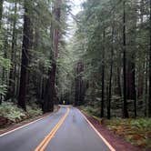 Review photo of Hidden Springs Campground — Humboldt Redwoods State Park by Neil T., April 1, 2023