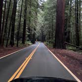 Review photo of Hidden Springs Campground — Humboldt Redwoods State Park by Neil T., April 1, 2023