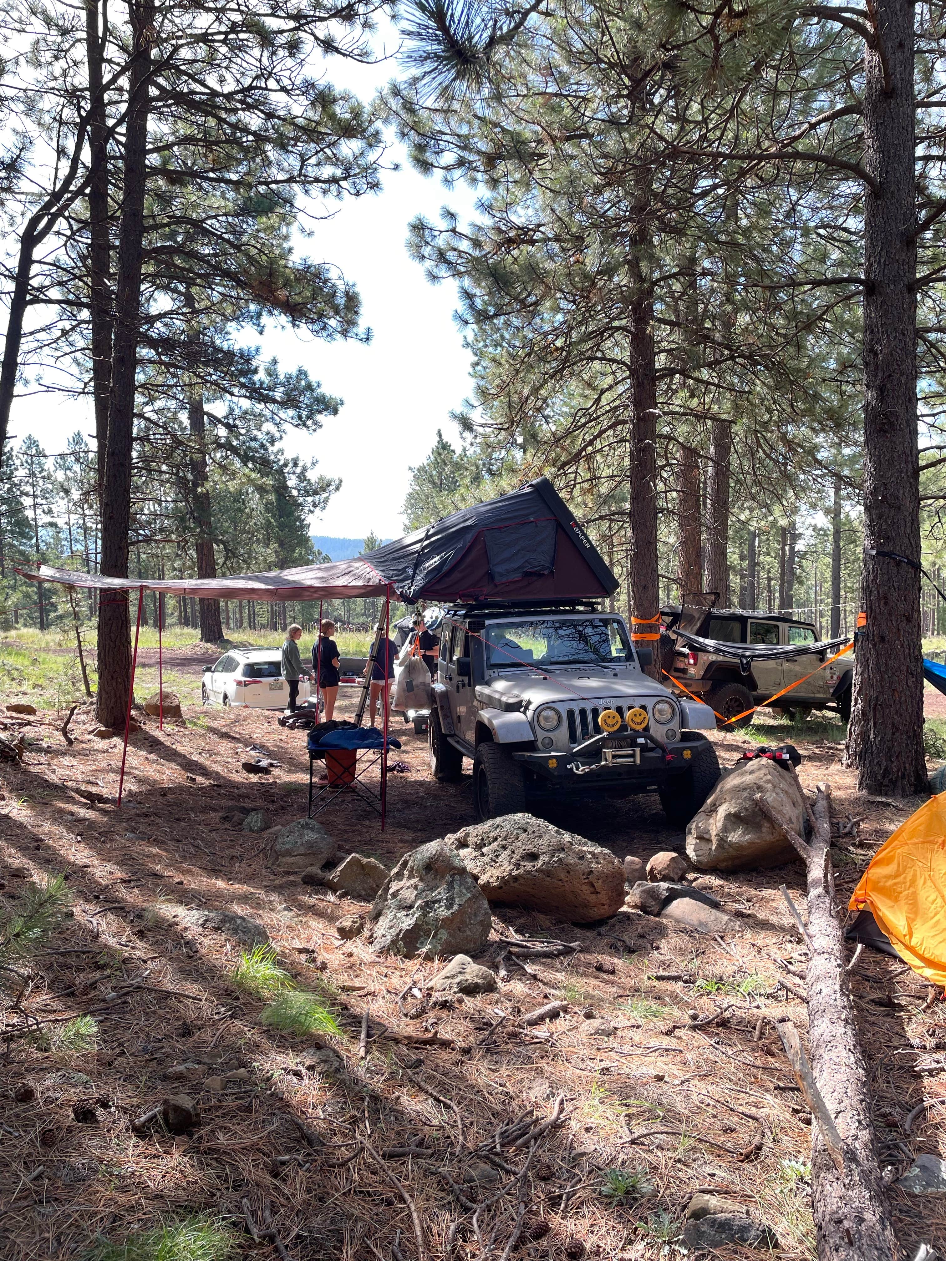Lance A.'s photo of tent camping at Freidlein Prairie Dispersed Camping near Parks, AZ