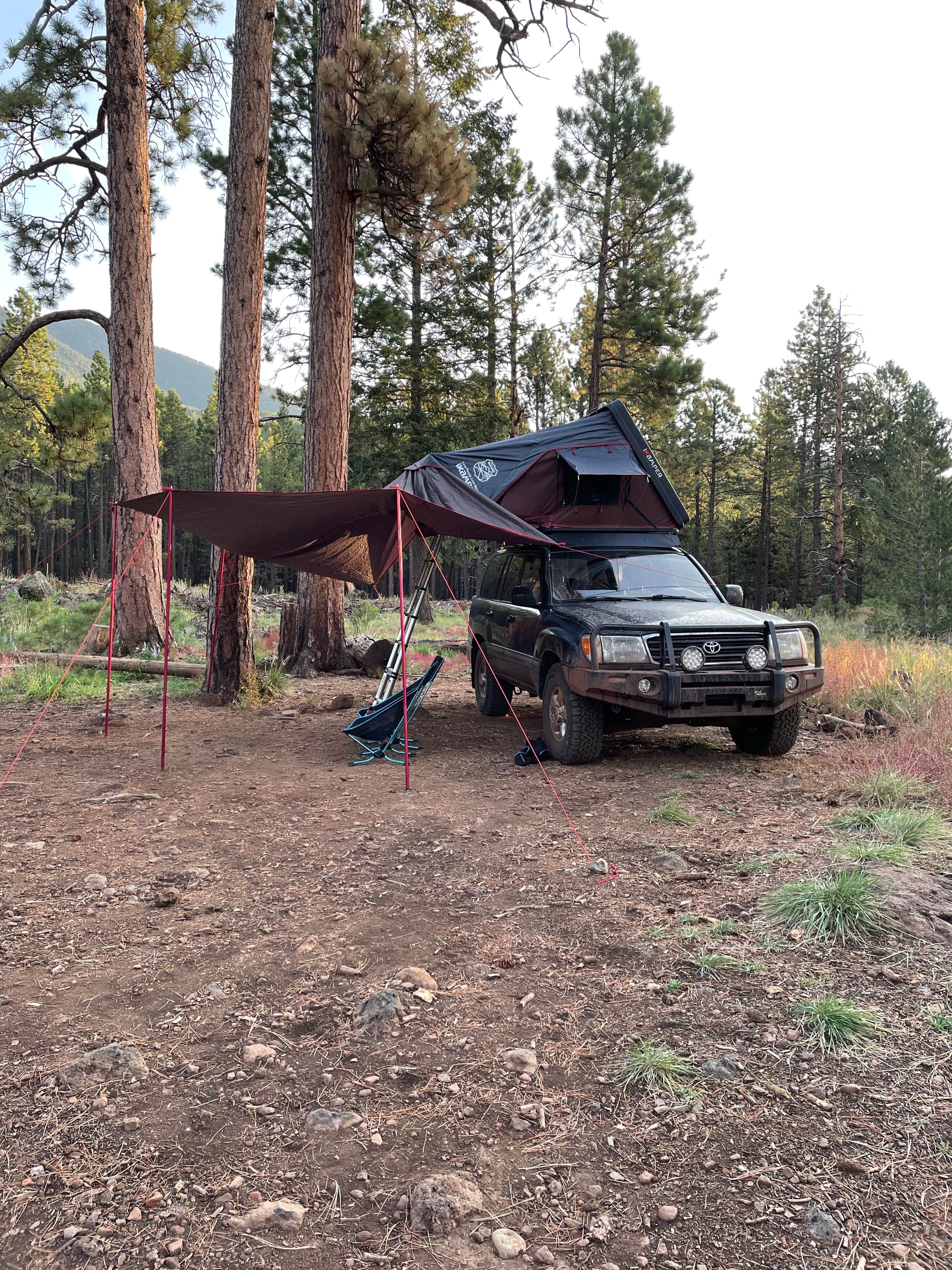 Lance A.'s photo of tent camping at Freidlein Prairie Dispersed Camping near Williams, AZ