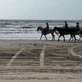 Review photo of Brazoria Beach by Barb N., April 1, 2023