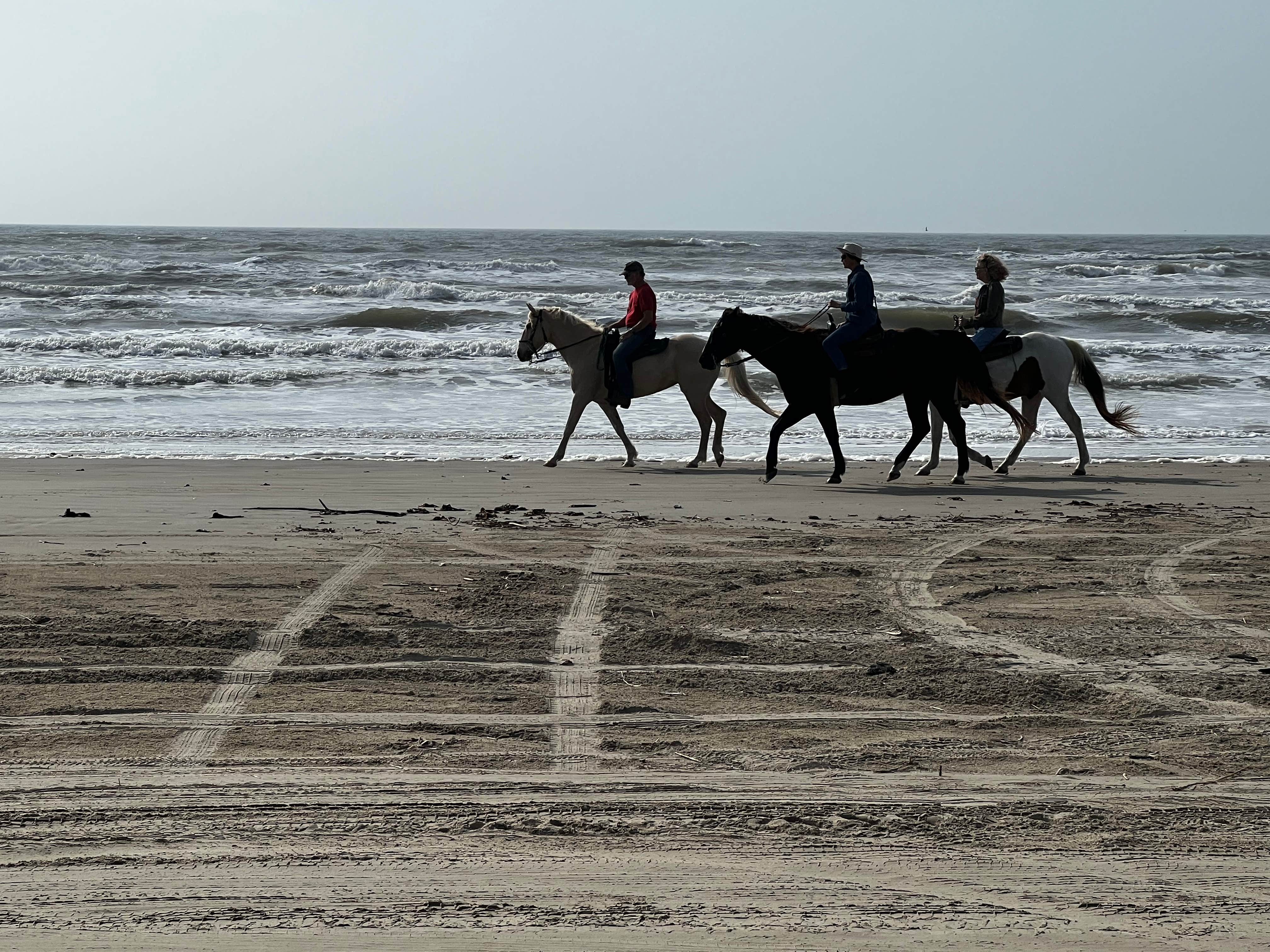 Camper submitted image from Brazoria Beach - 5