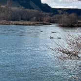 Review photo of Deschutes River State Recreation Area by Robert P., April 2, 2023