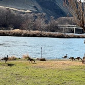 Review photo of Deschutes River State Recreation Area by Robert P., April 2, 2023
